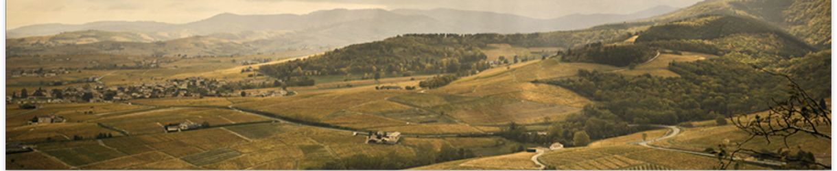 Domaine Jean-Claude Lapalu