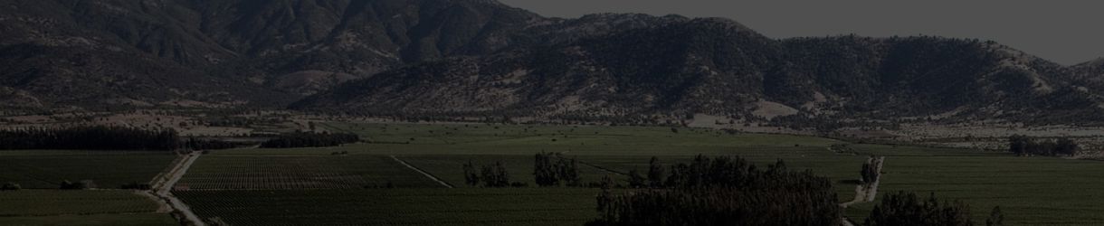 Domaines Barons de Rothschild Lafite - Los Vascos