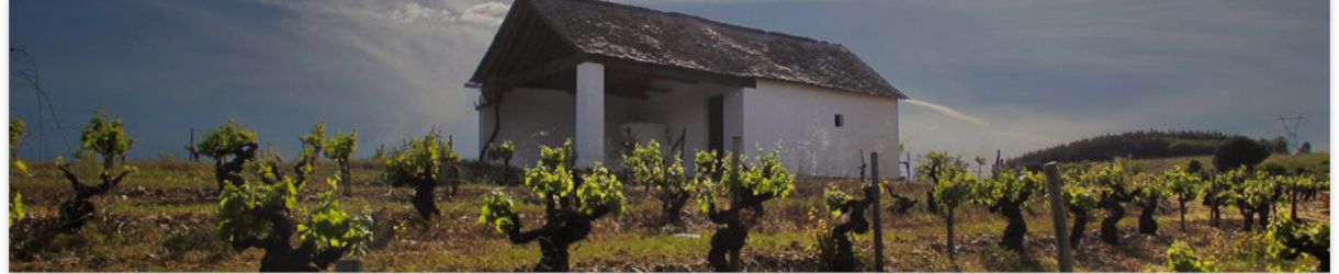 Bodegas y Viñedos Merayo