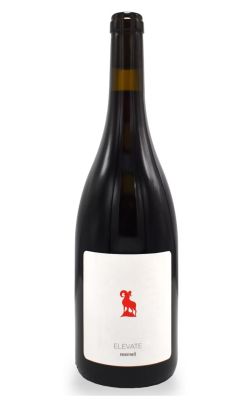 Mersel Elevate Marini 2022