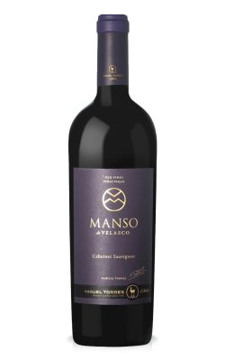 Miguel Torres Manso de Velasco 2020