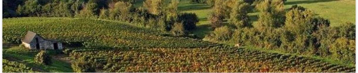 Domaine Gérard Millet