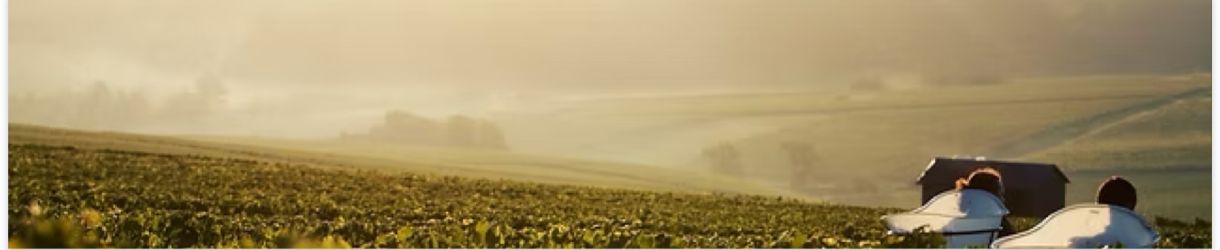 Domaine Louis Michel & Fils