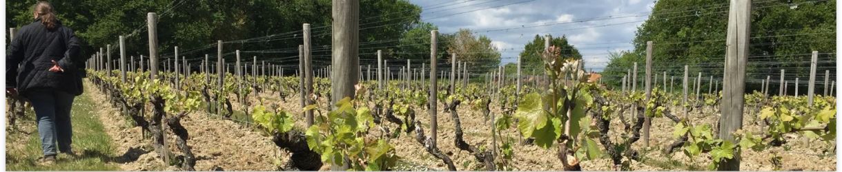Domaine aux Moines