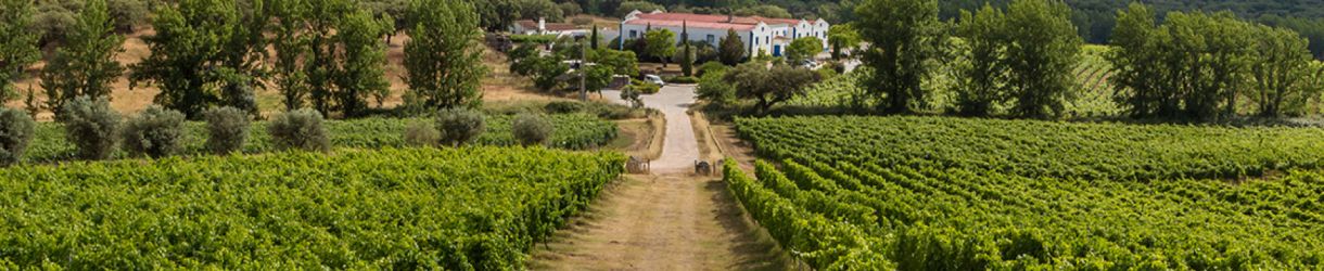 Monte da Ravasqueira