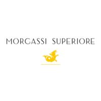 Morgassi