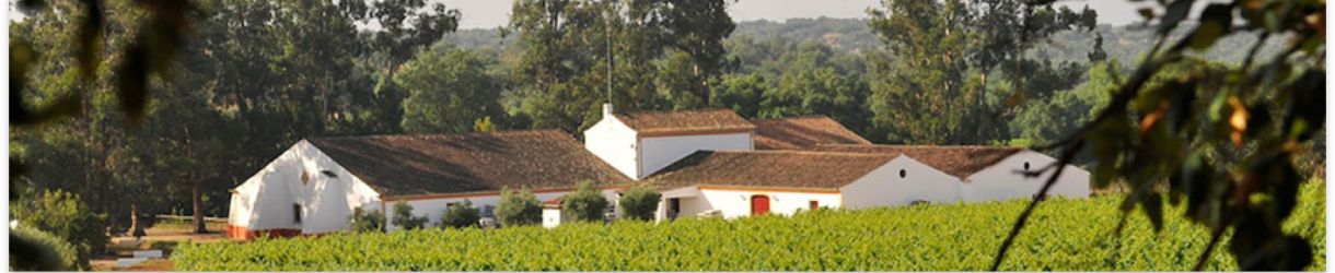 Herdade do Mouchão