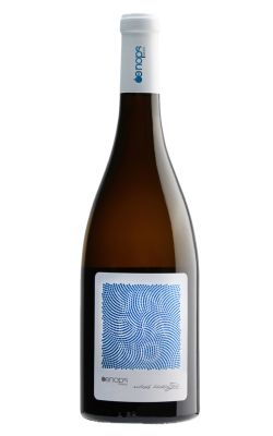 Oenops Vindiano 2024