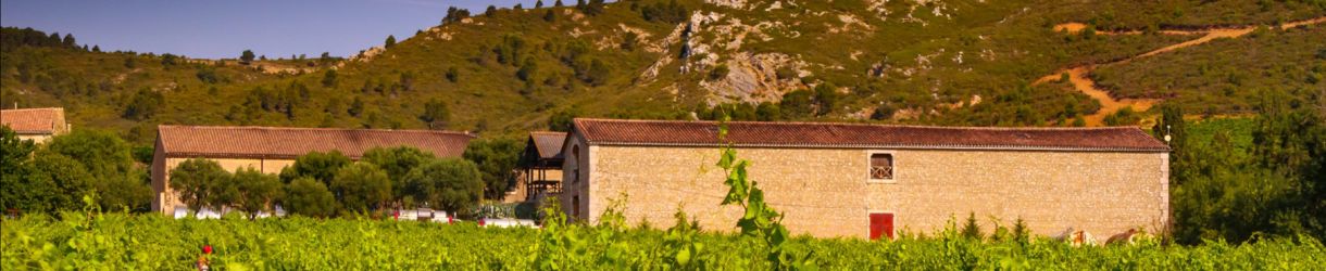 Chateau Ollieux Romanis