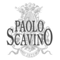 Paolo Scavino