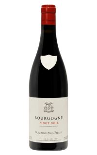 Domaine Paul Pillot Bourgogne Rouge 2021