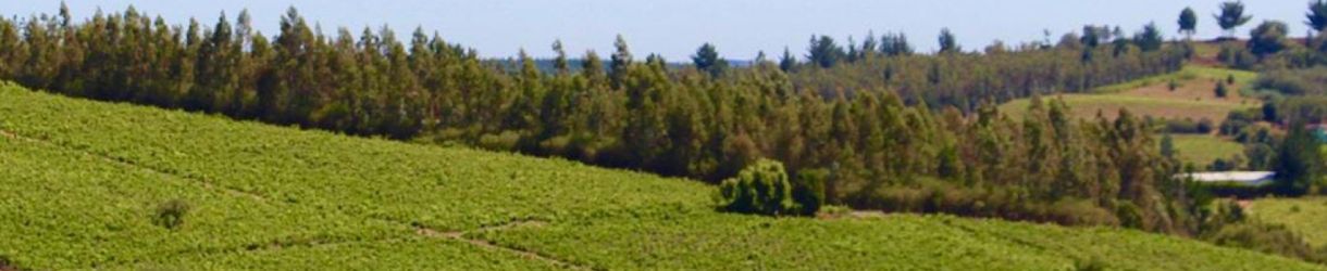 Pedro Parra y Familia