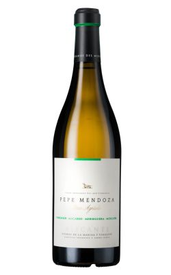 Pepe Mendoza Blanco Alicante 2024