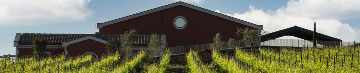 Antinori Pian delle Vigne