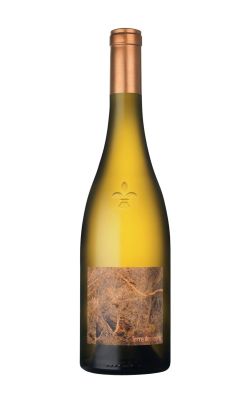 Domaine Pierre Luneau-Papin Terre de Pierre 2022