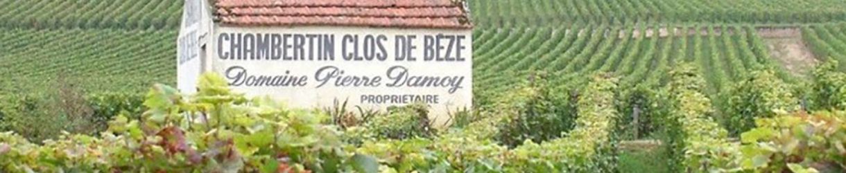 Domaine Pierre Damoy