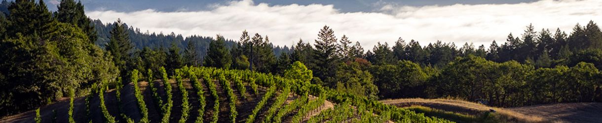 Pride Mountain Vineyards