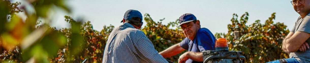 Produttori Di Manduria