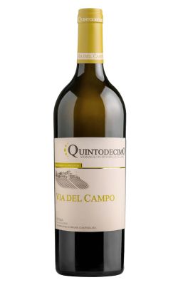 Quintodecimo Via del Campo Falanghina 2021