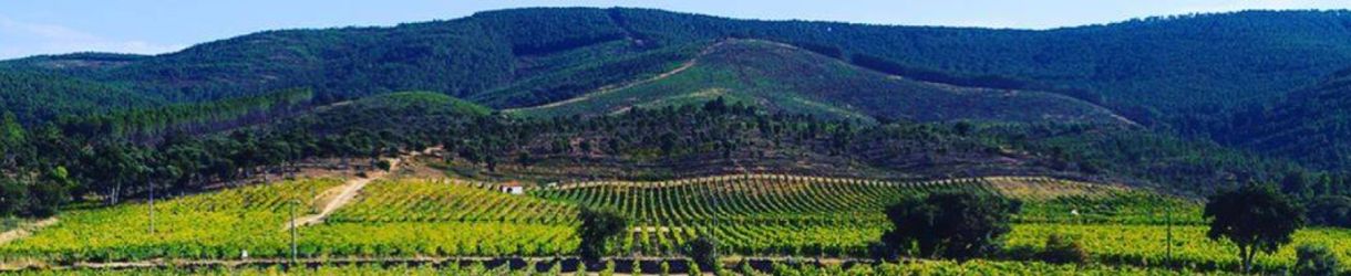 Quinta da Fonte Souto