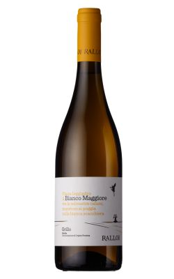Rallo Bianco Maggiore Grillo 2024