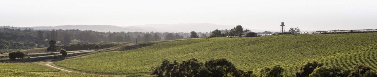 Solomon Hills Estate