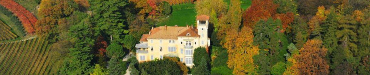Tenuta San Leonardo