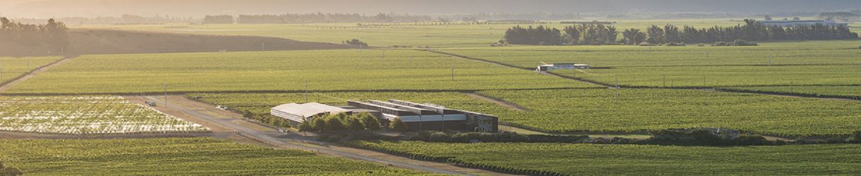 Satellite - by Spy Valley