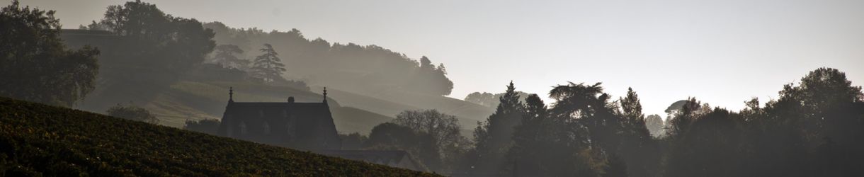 Chateau Capet-Guillier