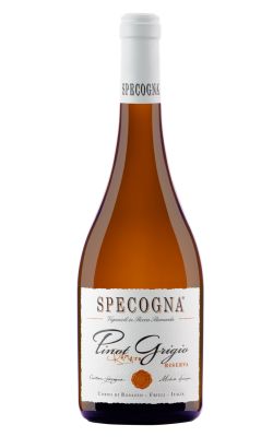 Specogna Pinot Grigio Riserva 2021