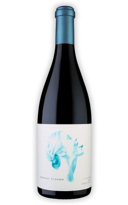 Summer Dreams Stargazing Pinot Noir 2021