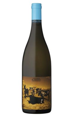 Testalonga El Bandito Lords of Dogtown 2023