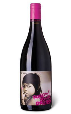 Testalonga Baby Bandito Follow Your Dreams 2024