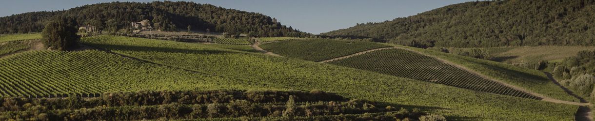 Antinori Tenuta Tignanello