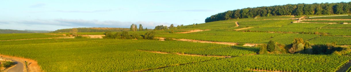 Domaine Tollot-Beaut