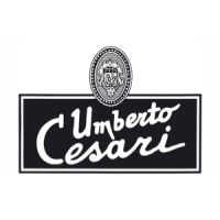 Umberto Cesari