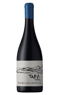 Ventisquero Tara Red Wine 1 - Pinot Noir 2020