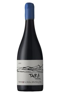 Ventisquero Tara Red Wine 2 - Syrah 2016