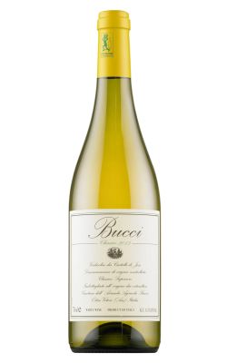 Villa Bucci Verdicchio dei Castelli di Jesi Classico Superiore 2024