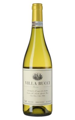 Villa Bucci Verdicchio dei Castelli di Jesi Classico Riserva 2021