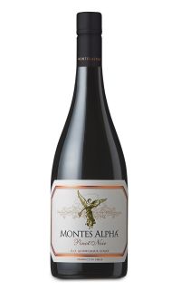 Vina Montes Alpha Aconcagua Pinot Noir 2022