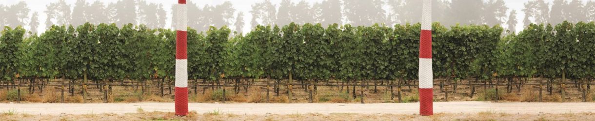 Errazuriz Viñedo Chadwick