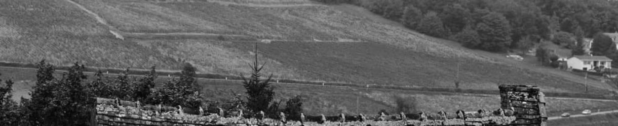 Domaine Jean-Baptiste Ponsot